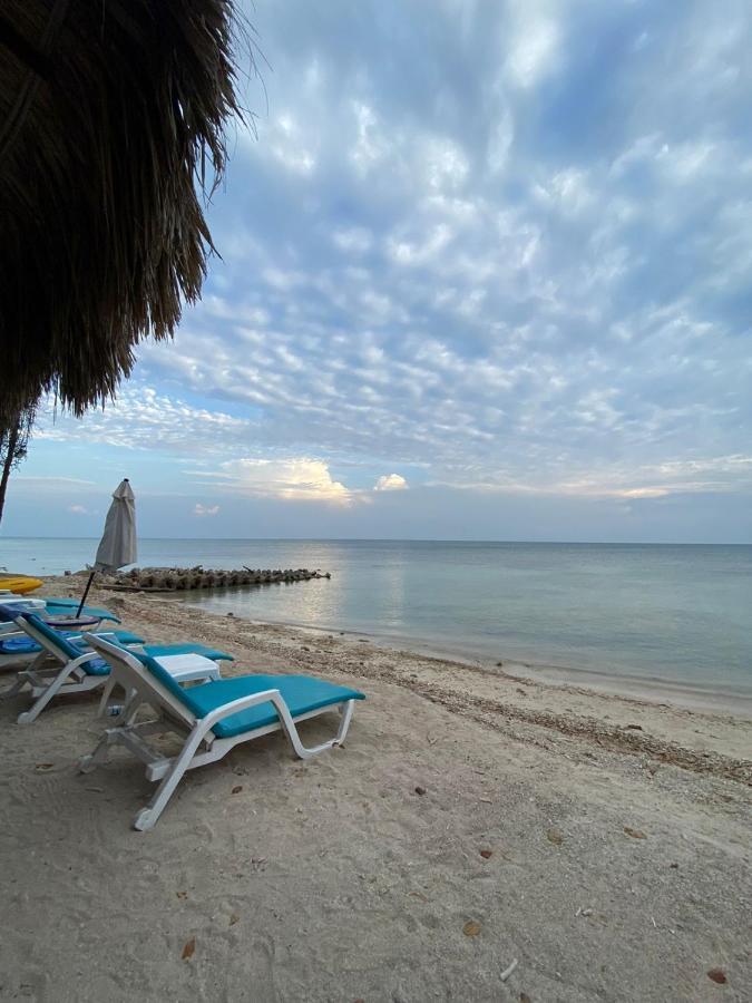 Isla Luna Beach Isla Barú 외부 사진